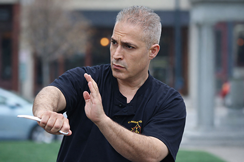 Kali Combat System